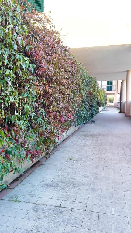 Andrea Apartment ليفانتو المظهر الخارجي الصورة